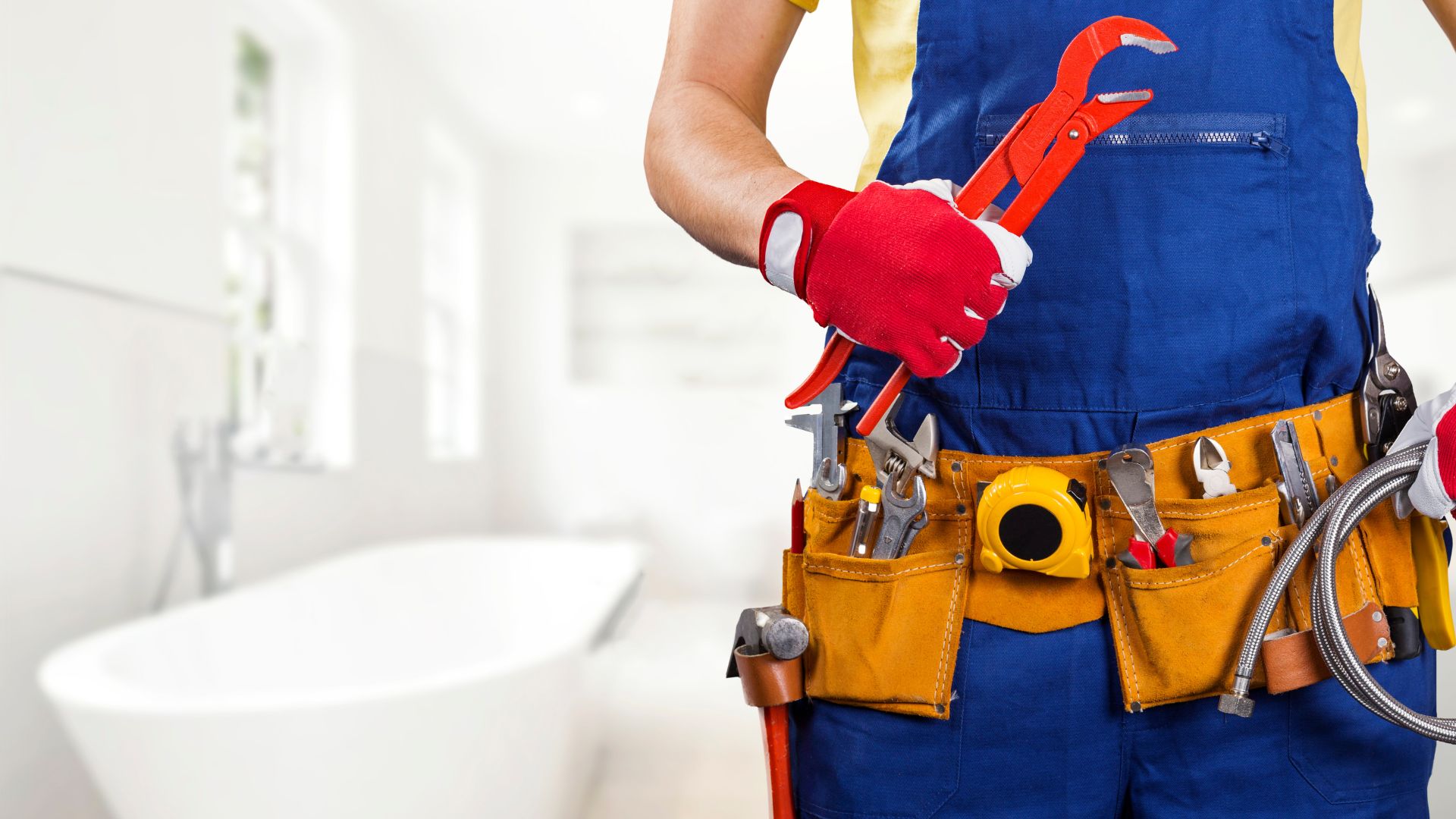 Professional Plumbing Services